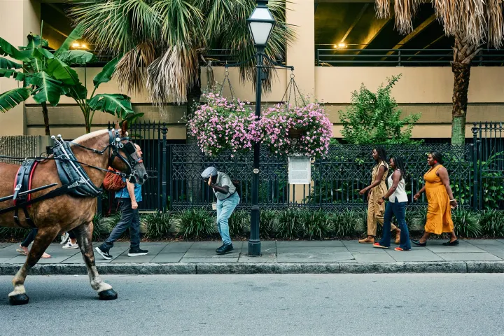 Horse, people walking on a sidewalk, and hanging pink flowers with a building and palm trees in the background.